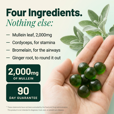 Four ingredients listed beside green gummies held in an open hand
