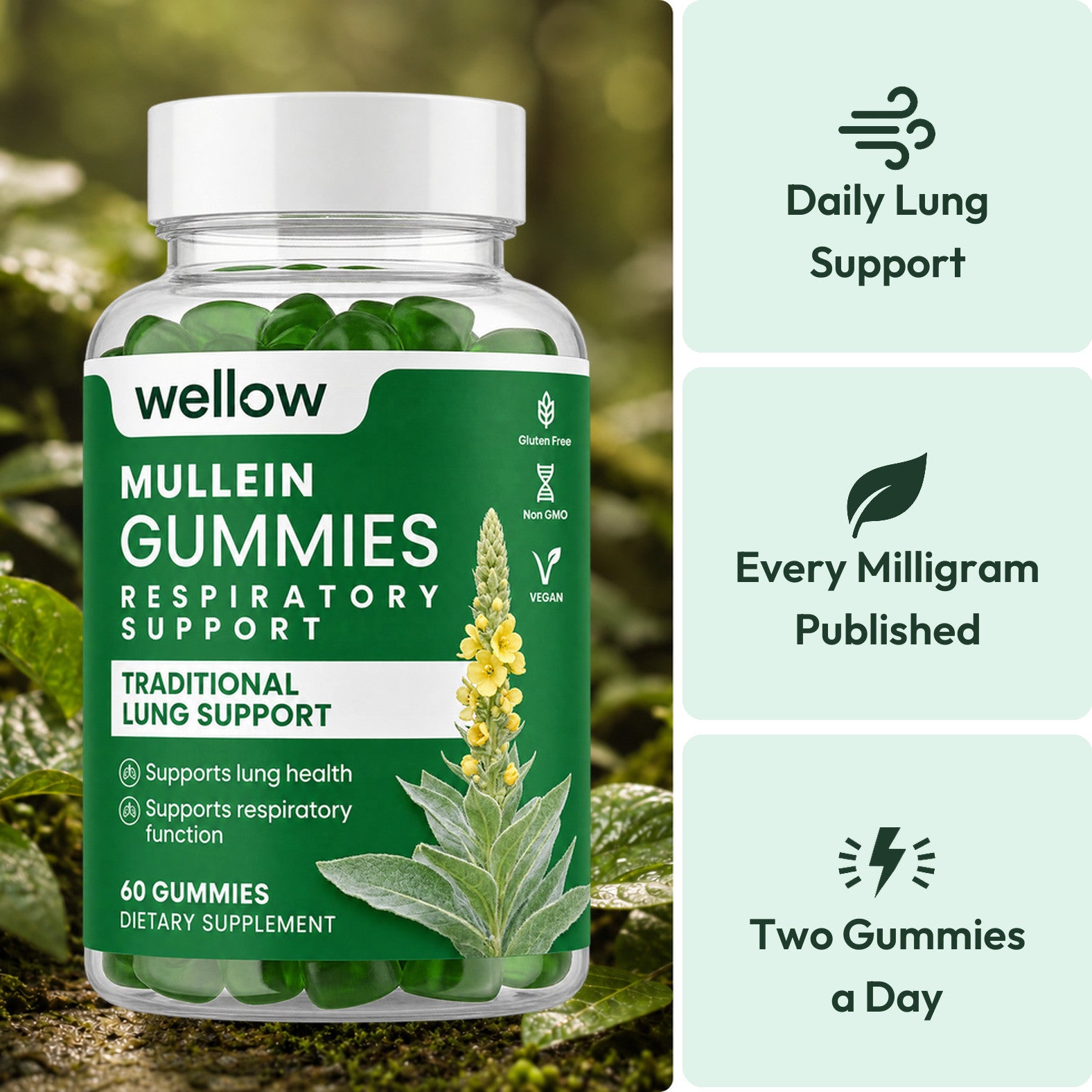 Wellow Mullein Gummies