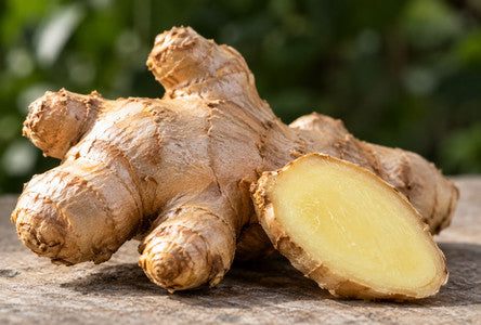 Ginger Root